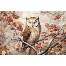 Load image into Gallery viewer, Owl 60*40CM (canvas) Full Round Drill Diamond Painting
