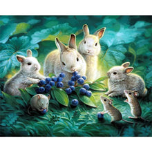 Load image into Gallery viewer, Rabbit 50*40CM (canvas) Full Round AB Drill Diamond Painting
