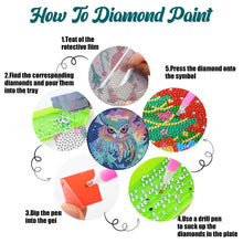 Load image into Gallery viewer, 4 PCS Acrylic Diamond Painted Placemats Tableware Mat with Holder (Owl)

