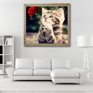 Naughty Kitten Cat Rose 30x30cm(canvas) partial round drill diamond painting