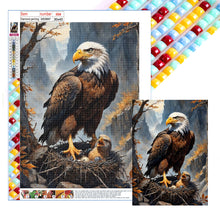 Load image into Gallery viewer, Eagle 30*40CM (canvas) Full Square Drill Diamond Painting
