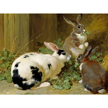 Load image into Gallery viewer, Rabbit Nest 40*30CM (canvas) Full Round Drill Diamond Painting
