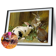 Load image into Gallery viewer, Rabbit Nest 40*30CM (canvas) Full Round Drill Diamond Painting
