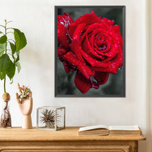 Load image into Gallery viewer, Bloom Rose 30*40CM (canvas) Full Round Drill Diamond Painting
