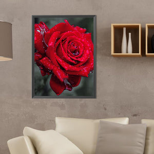 Bloom Rose 30*40CM (canvas) Full Round Drill Diamond Painting