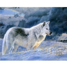 Load image into Gallery viewer, Snow Wolf 25x20cm(canvas) partial round drill diamond painting
