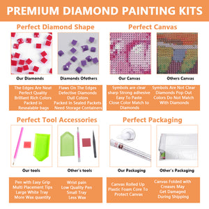 Colorful Lattice House 40*30CM (canvas) Full Square Drill Diamond Painting