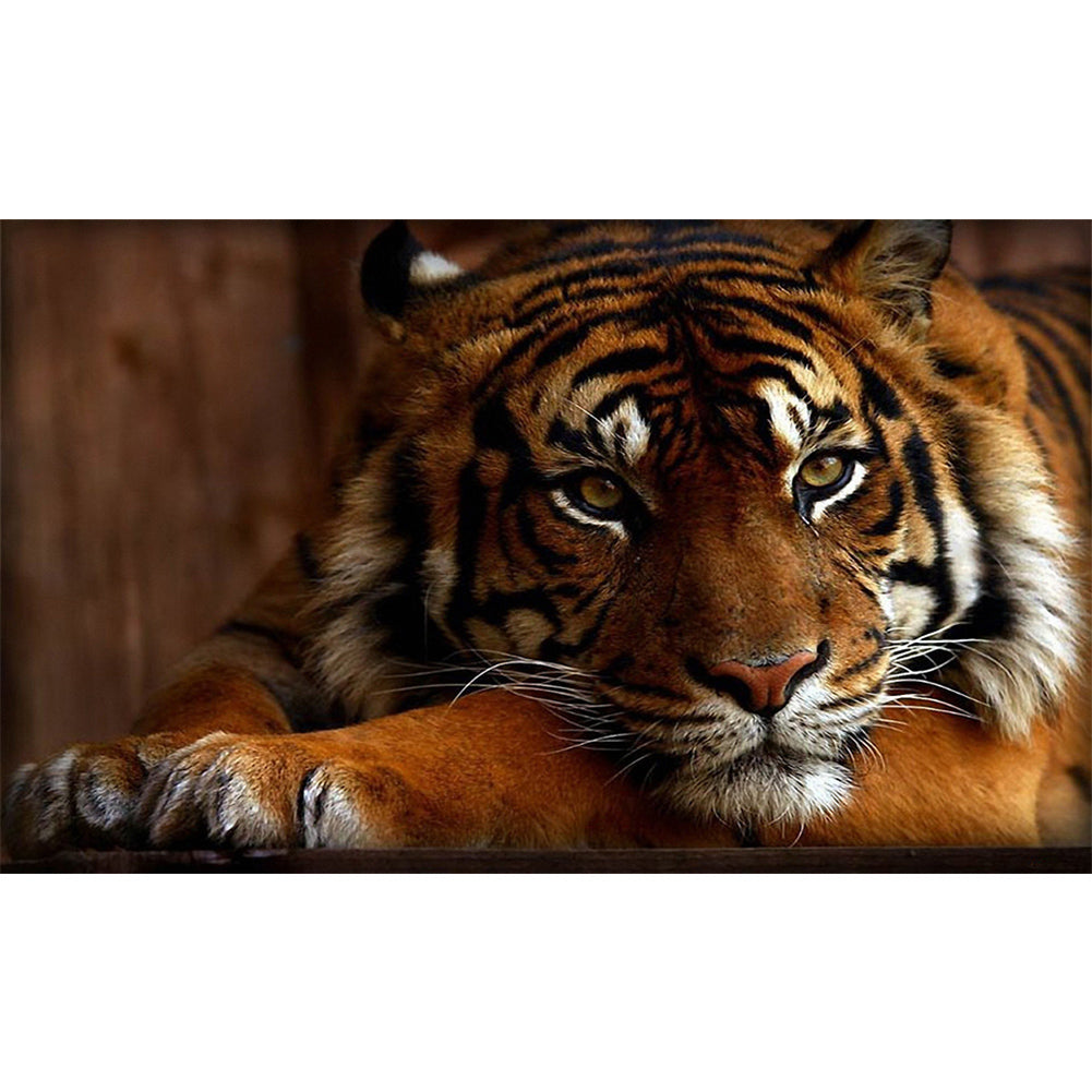 Tiger 50*30CM (canvas) Full Round Drill Diamond Painting