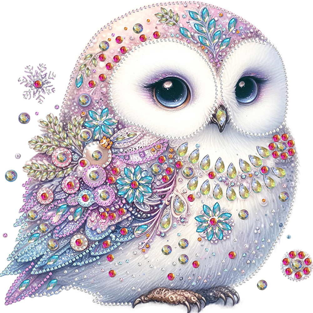 Bald Owl 30*30CM (canvas) Partial Special-Shaped Drill Diamond Painting