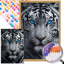 Load image into Gallery viewer, White Tiger With Blue Eyes 40*60CM (canvas) Full AB Round Drill Diamond Painting
