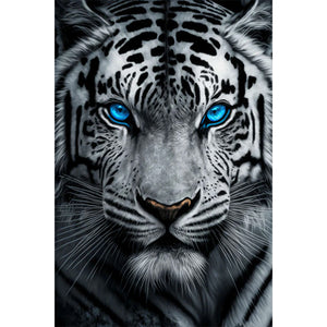 White Tiger With Blue Eyes 40*60CM (canvas) Full AB Round Drill Diamond Painting