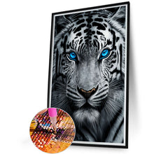 Load image into Gallery viewer, White Tiger With Blue Eyes 40*60CM (canvas) Full AB Round Drill Diamond Painting
