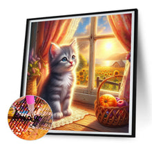 Load image into Gallery viewer, Glowing Cat By The Window 30*30CM (canvas) Full Round Drill Diamond Painting
