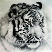 Load image into Gallery viewer, Tiger 30x30cm(canvas) full round drill diamond painting
