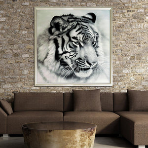 Tiger 30x30cm(canvas) full round drill diamond painting