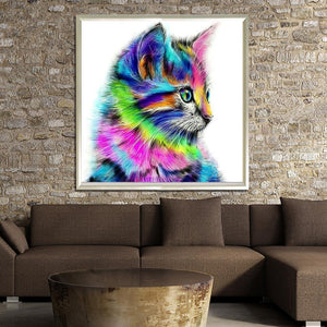 Colorful Cat 30x30cm(canvas) partial round drill diamond painting
