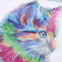 Load image into Gallery viewer, Colorful Cat 30x30cm(canvas) partial round drill diamond painting

