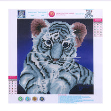 Load image into Gallery viewer, Tiger 30x30cm(canvas) partial round drill diamond painting
