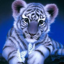 Load image into Gallery viewer, Tiger 30x30cm(canvas) partial round drill diamond painting
