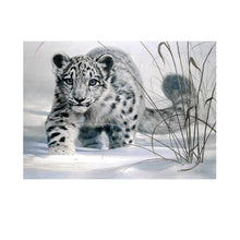 Load image into Gallery viewer, Snow Leopard 40x30cm(canvas) partial round drill diamond painting
