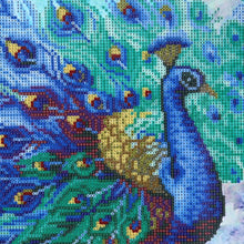 Load image into Gallery viewer, Peacock Flaunting Its Tail 40x30cm(canvas) partial round drill diamond painting
