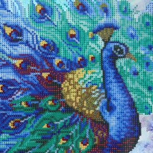 Peacock Flaunting Its Tail 40x30cm(canvas) partial round drill diamond painting