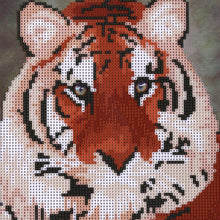Load image into Gallery viewer, Tiger 30x40cm(canvas) partial round drill diamond painting
