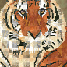 Load image into Gallery viewer, Tiger 30x40cm(canvas) partial round drill diamond painting
