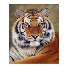 Load image into Gallery viewer, Tiger 30x40cm(canvas) partial round drill diamond painting
