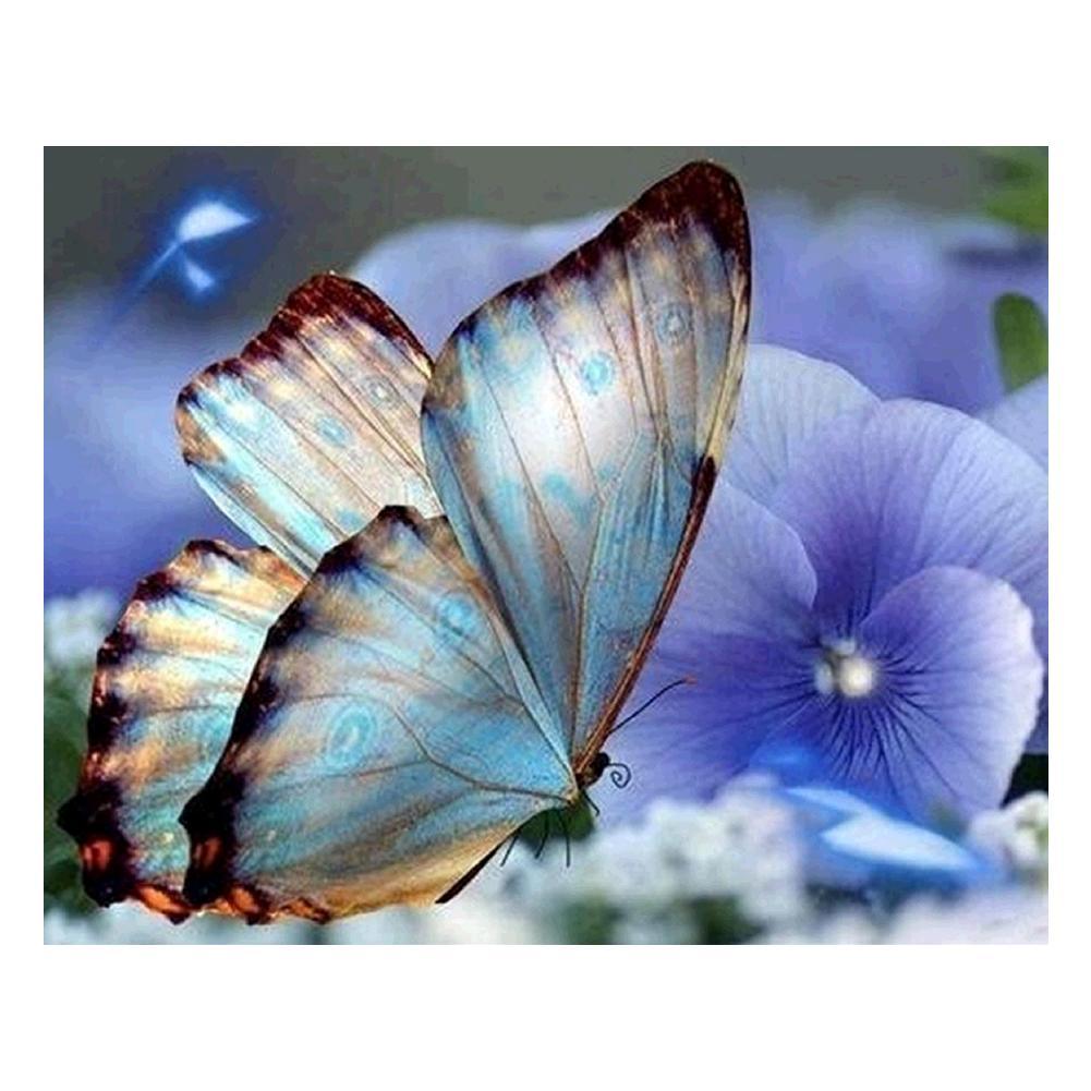 Blue Butterfly 30x25cm(canvas) partial round drill diamond painting