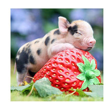 Load image into Gallery viewer, Baby Pig Sleep on Strawberry 30x30cm(canvas) partial round drill diamond painting
