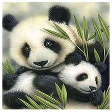 Load image into Gallery viewer, Panda Love 30x30cm(canvas) partial round drill diamond painting
