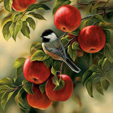 Load image into Gallery viewer, Fruit Bird 30x30cm(canvas) partial square drill diamond painting
