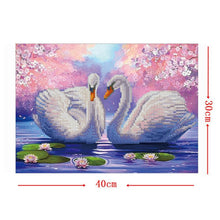 Load image into Gallery viewer, Two White Swans 40x30cm(canvas) partial round drill diamond painting
