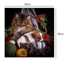Load image into Gallery viewer, Cats Dogs 30x30cm(canvas) partial round drill diamond painting

