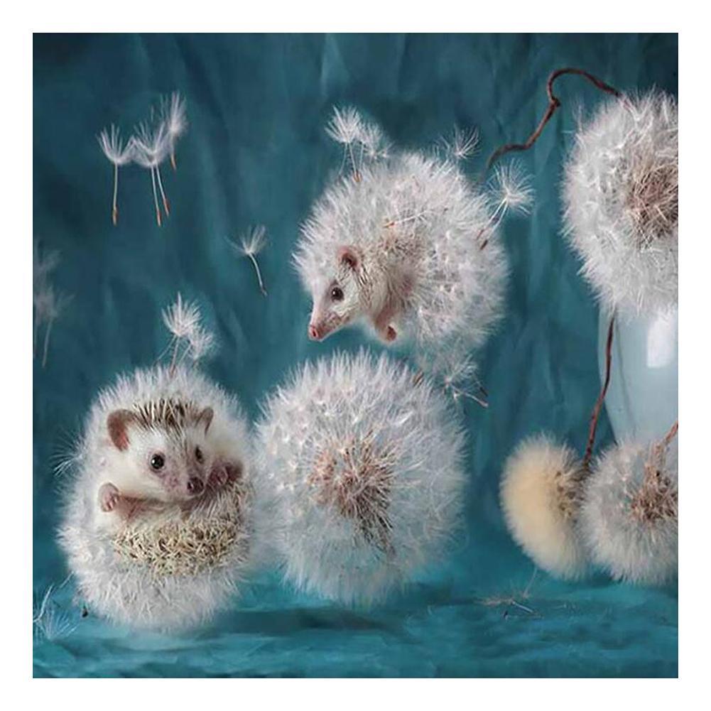 Dandelion Hedgehog 30x30cm(canvas) full round drill diamond painting