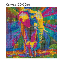 Load image into Gallery viewer, Elephant 30x30cm(canvas) full round drill diamond painting
