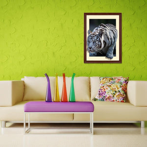 White Tiger 35x45cm(canvas) partial round drill diamond painting