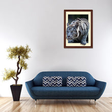 Load image into Gallery viewer, White Tiger 35x45cm(canvas) partial round drill diamond painting
