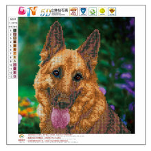 Load image into Gallery viewer, Dog 30x30cm(canvas) partial round drill diamond painting
