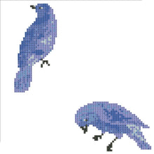 Load image into Gallery viewer, 2 Birds 30x30cm(canvas) partial round drill diamond painting

