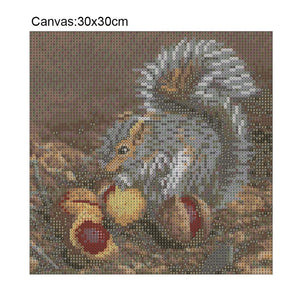 Squirrel 30x30cm(canvas) full round drill diamond painting