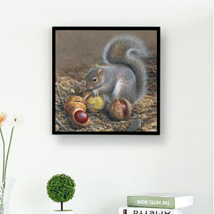Squirrel 30x30cm(canvas) full round drill diamond painting