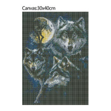 Load image into Gallery viewer, Night Wolf 30x40cm(canvas) partial round drill diamond painting
