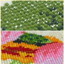 Load image into Gallery viewer, Dolphin 30x30cm(canvas) full round drill diamond painting

