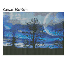 Load image into Gallery viewer, Night Sky 30x40cm(canvas) full round drill diamond painting
