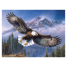 Load image into Gallery viewer, Flying Eagle 40x30cm(canvas) full round drill diamond painting
