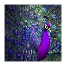 Load image into Gallery viewer, Bird 30x30cm(canvas) full round drill diamond painting
