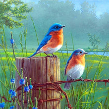 Load image into Gallery viewer, Standing Birds 30x30cm(canvas) full round drill diamond painting
