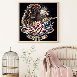 Flying Eagle 30x30cm(canvas) full round drill diamond painting